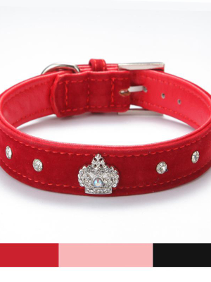 Crown Me! - Pet Dog/cat Collars (colours)