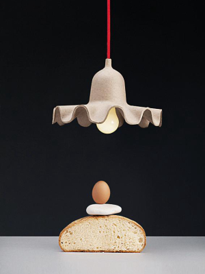 Egg Of Columbus Suspended Carton Lamp