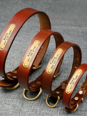 Pet Leather - Id Collar