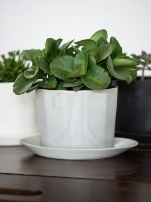 Native Porcelain Planter - Smoke Gray