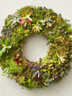 Succulent Wreath