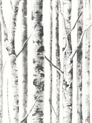 Birch Wallpaper In Ivory And Grey From The Solaris Collection By Mayflower Wallpaper