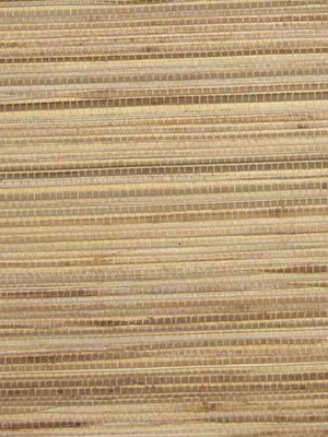 Grasscloth Wallpaper In Beige And Tan From The Winds Of The Asian Pacific Collection By Burke Decor