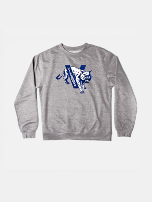 Villanova Vintage Crewneck Sweatshirt (gray)