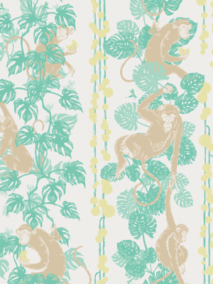 5 Monkeys Wallpaper In Hawaii From The Kingdom Home Collection By Milton & King