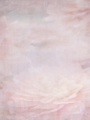 Pastel Petals