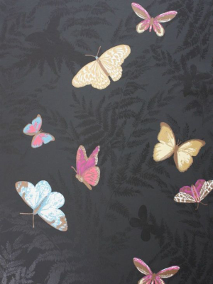 Sample Farfalla Wallpaper In Black Background With Brilliantly Coloured Butterflies From The Lombardia Collection By Nina Campbell