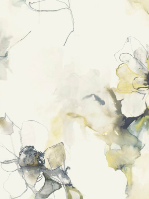 Anemone Watercolor Floral Wallpaper In Dark Ash And Canary From The Living With Art Collection By Seabrook Wallcoverings