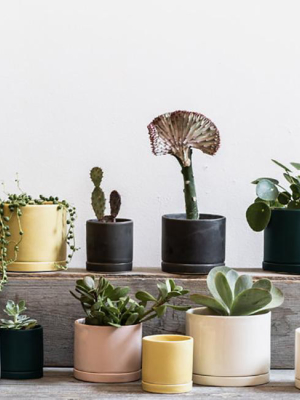 Charcoal Tabletop Planter