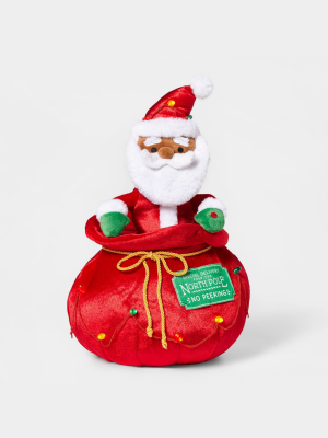 Santa & His Toy Bag Decorative Figurine - Wondershop™