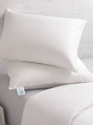 2pk Goose Down Bed Pillow - Allied Home