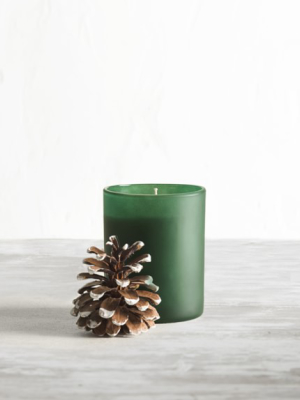 Williams Sonoma Winter Forest Candle