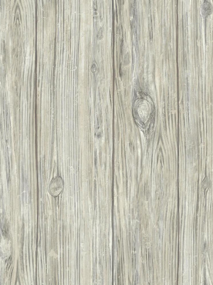 Mushroom Wood Peel & Stick Wallpaper In Grey By Roommates For York Wallcoverings