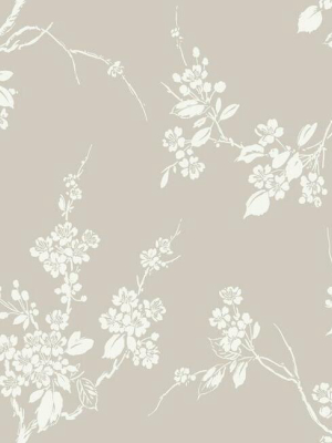 Imperial Blossoms Branch Wallpaper In Grey And White From The Silhouettes Collection By York Wallcoverings