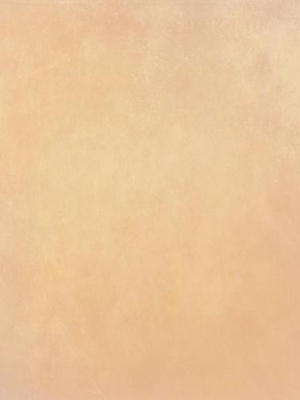 Fuzzy Peach