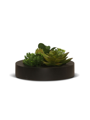 Large Potted Artisan Faux Succulents