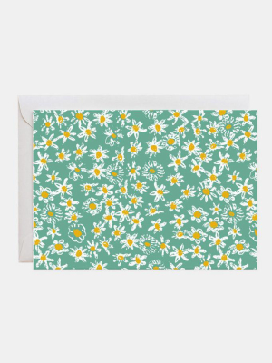 Green Daisy Fields Box Of 6 Notecards