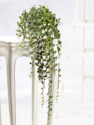 Artificial Plants Hanging Button Leaf Plant - 40"