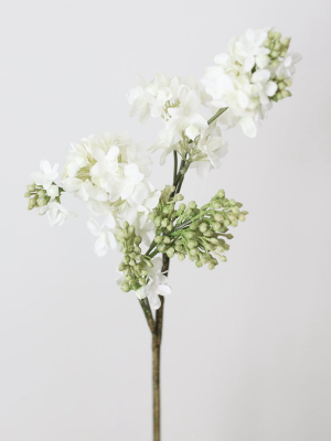 Fake Lilacs Flower In Cream - 25"