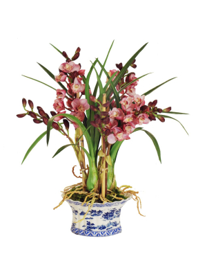 Cymbidium Orchid In Chinoiserie Pot