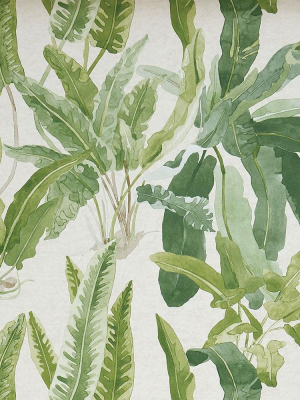 Benmore Wallpaper In Green And Ivory From The Ashdown Collection By Nina Campbell For Osborne & Little