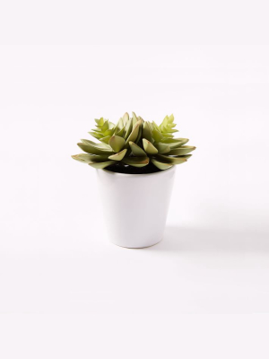 Faux Potted Echeveria Succulent Plant