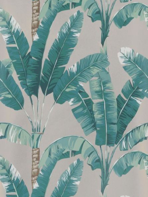 Palmaria Wallpaper In Turquoise And Tan From The Manarola Collection By Osborne & Little