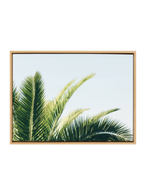 23" X 33" Sylvie Tropical Palm Under Blue Sky Framed Canvas By Amy Peterson Natural - Kate And Laurel