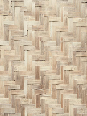 Bamboo