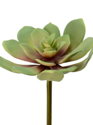 Vickerman 5.5" Artificial Green Echeveria Pick.