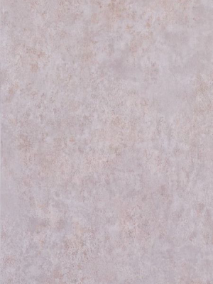 Sample Fresco Wallpaper In Light Purple From The Lucenta Collection By Osborne & Little