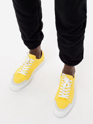 Haze Low / Canary Canvas