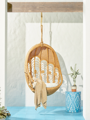 Peacock Indoor/outdoor Hanging Chair