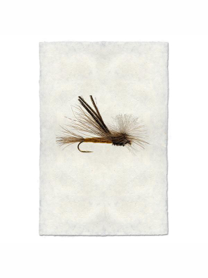 Fly Fishing Print - Bugmeister