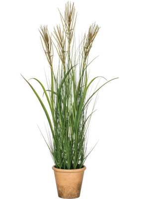 Sullivans Artificial Potted Grass 41"h Green