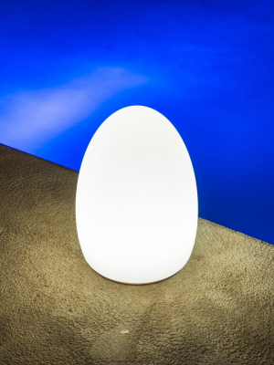 Egg Outdoor Bluetooth Led Table Lamp