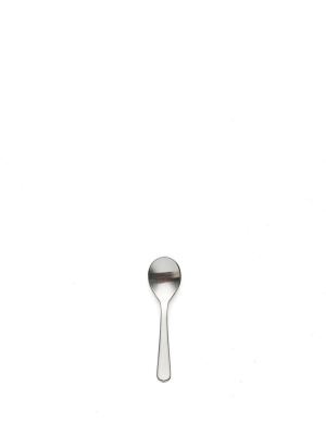Stainless Steel Salt Spoon