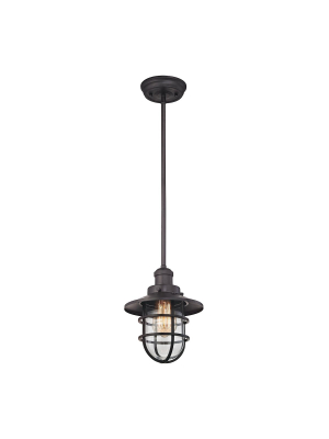 Seaport 1-light Mini Pendant With Clear Glass In Various Colors