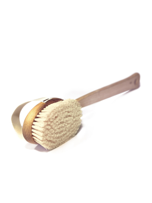 Skin Brush