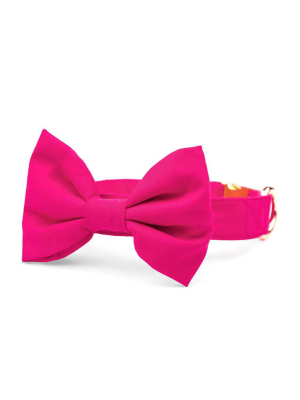 Hot Pink Bow Tie Collar