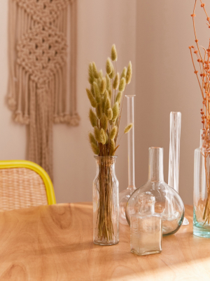 Dried Bunny Tail Grass Bunch