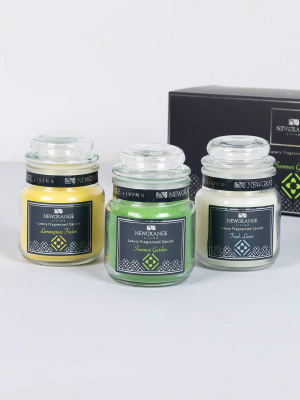 Luxury Fragrance Small Candle Jar Set Of 3