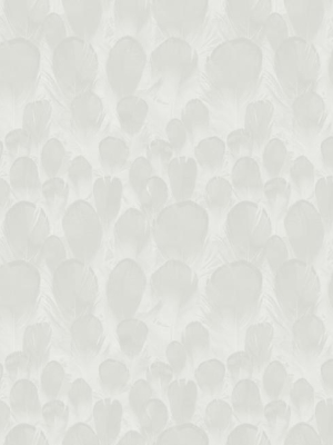 Sample Feathers Wallpaper In Off-white From The Natural Opalescence Collection By Antonina Vella For York Wallcoverings