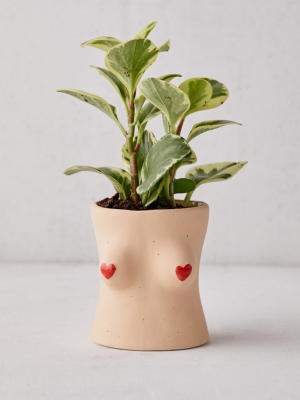 Boob Heart Tassel Planter