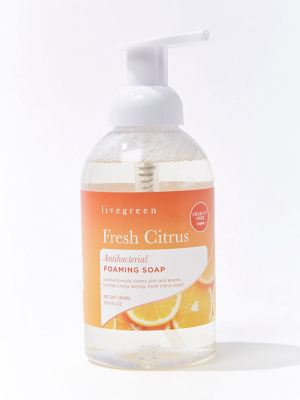 Antibacterial Foaming Soap