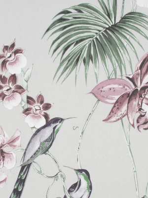 Utopia Wallpaper In Grey From The Capsule Collection By Graham & Brown