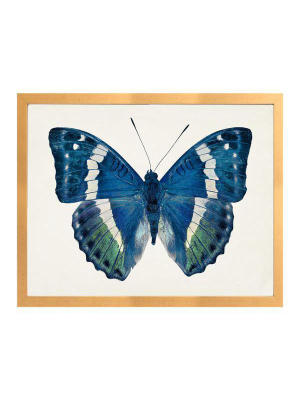 G Blue Butterfly