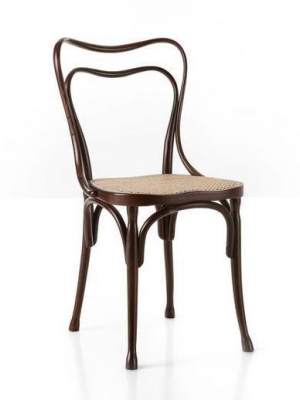 Adolf Loos Cafe Museum Bentwood Side Chair (cane) By Gtv