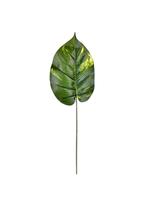 Vickerman 15" Artificial Pothos Leaf.