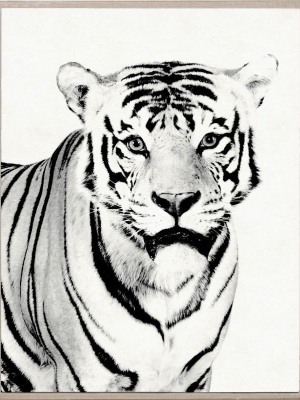 Tylinek Tiger Framed Artwork